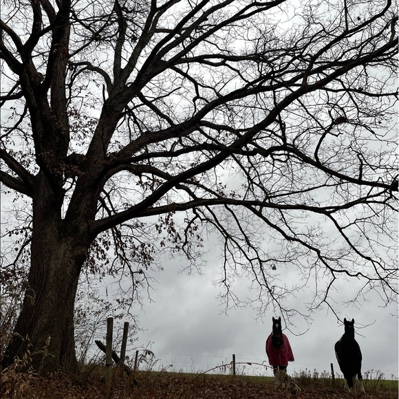 Meet your Posher, Jenny - Picture 3 of 17